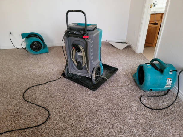 Best Water damage contractors near me  in Frent Hills, MO