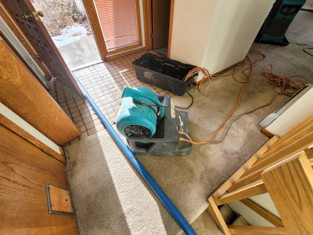  Frent Hills, MO Water damage restoration Pros