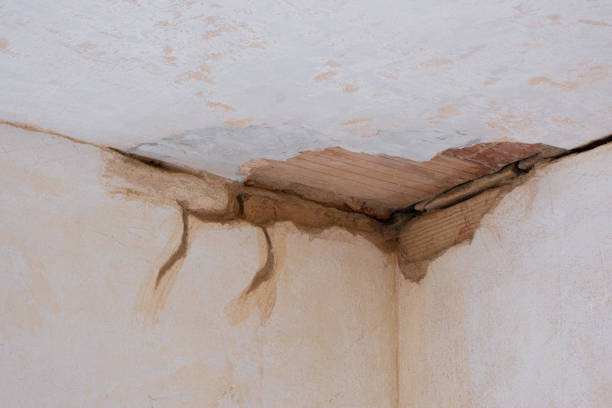Best Water damage cleanup near me  in Frent Hills, MO