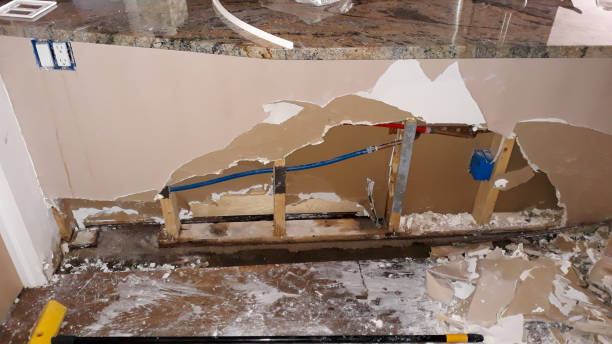 Best Water damage restoration process  in Frent Hills, MO