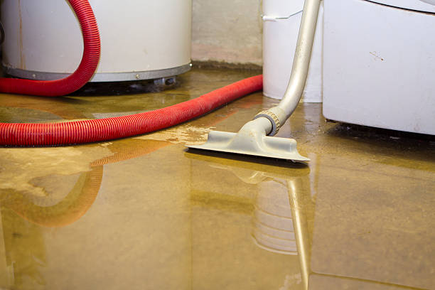  Frent Hills, MO Water damage restoration Pros