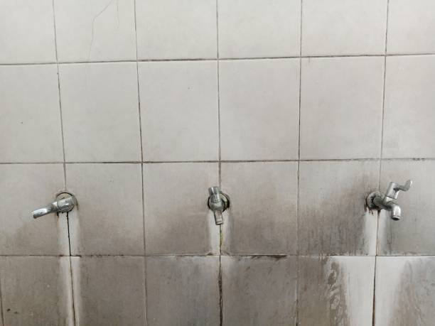 Best Sewage cleanup and water damage restoration  in Frent Hills, MO