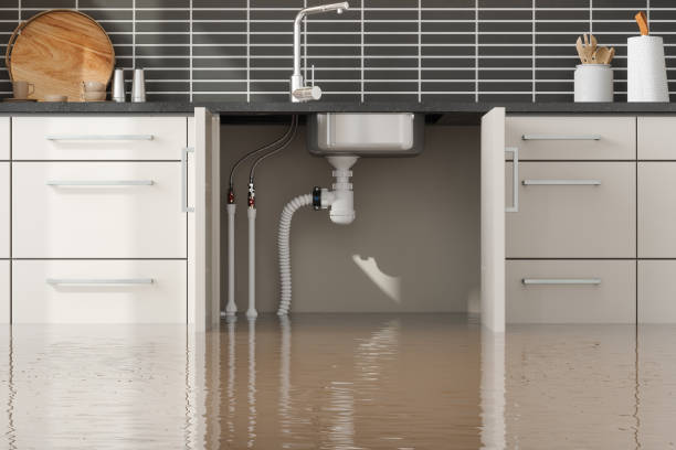 Best Basement water damage restoration  in Frent Hills, MO