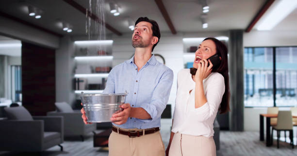 Best Water damage contractors near me  in Frent Hills, MO