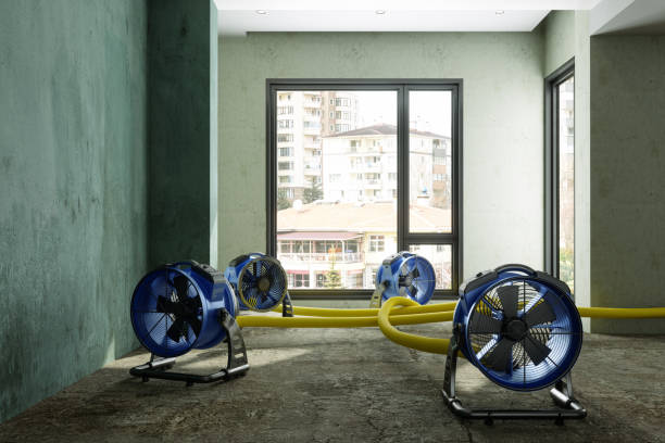 Best Water damage restoration near me  in Frent Hills, MO