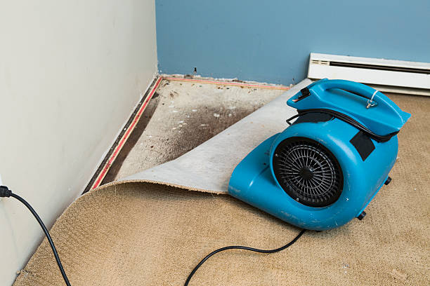 Best Emergency water damage restoration  in Frent Hills, MO